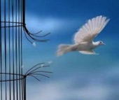 free your mind with hypnose